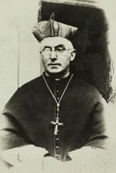 Portret van kardinaal Francis Bourne, c.1900 (foto)