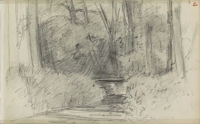 Rivier in een bos