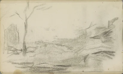 Landschap met een boom