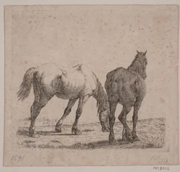 Twee paarden