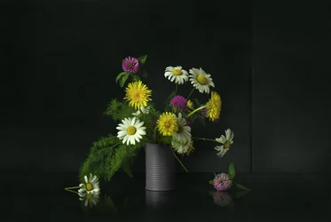 Stilleven met wilde bloemen