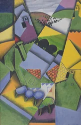 Landschap en huizen in Ceret