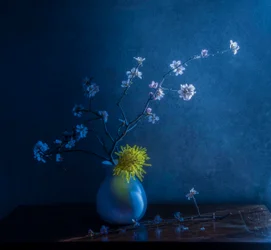 Blauwe bloesems en vaas