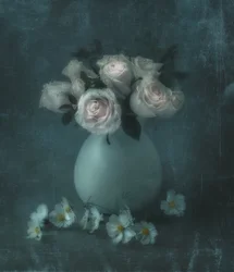Dromerige pastelrozen