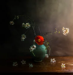 Stemmige papaverbloesems