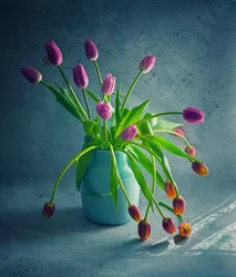 Levendige, hangende tulpen