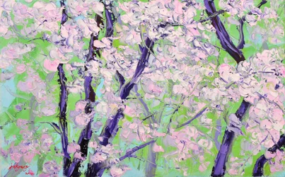 Bloeiende kersenbomen
