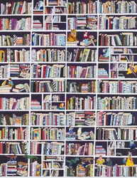 Boekenkasten vol verwondering