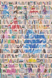 Kleurrijke boekenkastbibliotheek