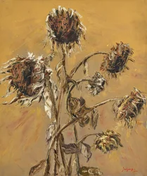 Gedroogde herfstzonnebloemen