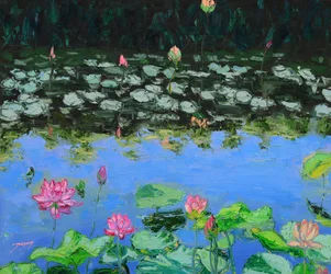 Roze Lotus-reflecties