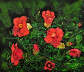 Levendige rode bloemen