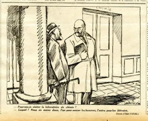 Candide, Satirisch in zwart-wit