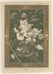 Bloemen, plaat 31 uit 