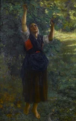 Frans: Cueilleuse de figues