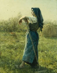 De oogster