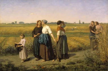 De Maaier