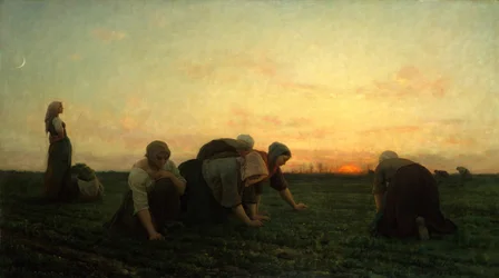 De wiedsters, 1868
