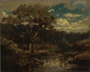 Dutch: Bosgezicht Forest View