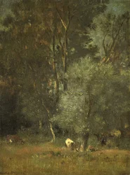 Uitzicht in het bos