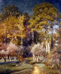 In een hoek van het bos