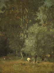 Uitzicht in het bos