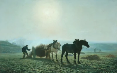 Paarden in een veld