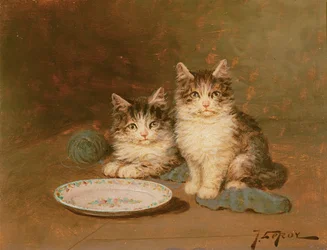 Twee Kittens met een Lege Kom