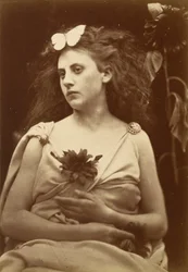 De zonnebloem