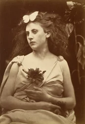 De Zonnebloem, vroege 1870s