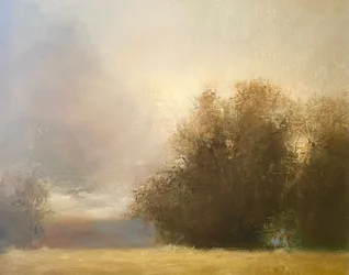 Mistig goudkleurig landschap