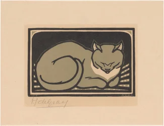 Slapende kat
