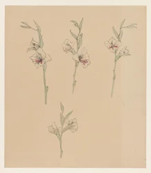 Bloemstudies