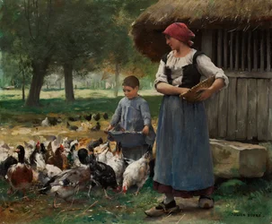 Boerenmeisje voert kippen