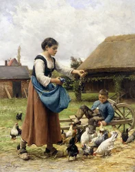 Op het boerenerf