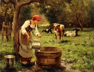 De koeien hoeden