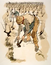 Humoristische wijnillustratie 1946. Illustratie door Julien Pavil