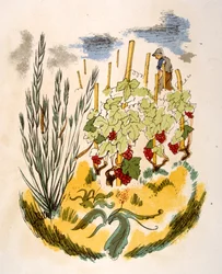 Humoristische wijnillustratie 1946