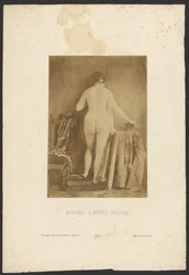 Studies uit de natuur