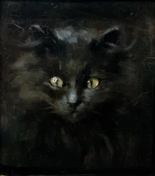 Portret van een kat