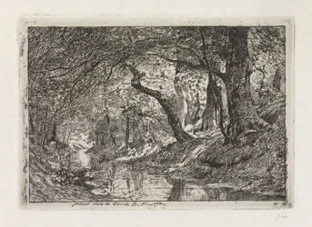 Boslandschap met beek en bomen op oever