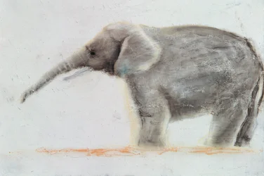 Olifant