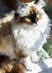 Kat met stralende ogen, geschilderd in aquarel