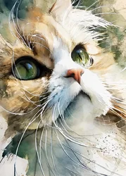 Nieuwsgierige kat in aquarel