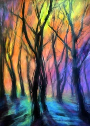 Lichtjes in het betoverde bos