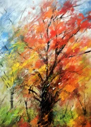 Kleurrijke herfstboom