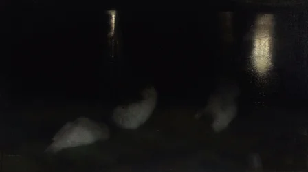 Nocturne. Zwanen in de Saksische Tuin in Warschau bij nacht