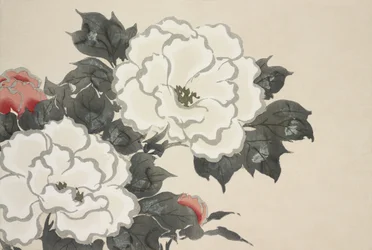 Bloemen van Momoyogusa
