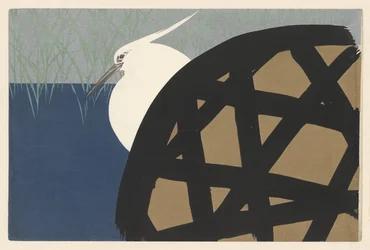 Witte Reiger