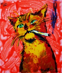 Coole kat die rookt